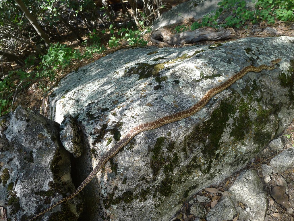 RancheriaFall 095